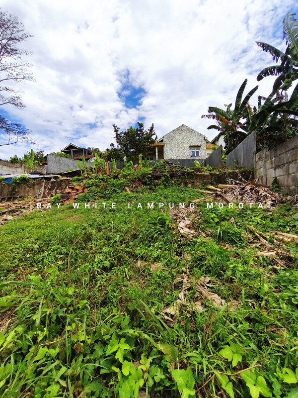 Dijual Tanah strategis pinggir jalan morotai