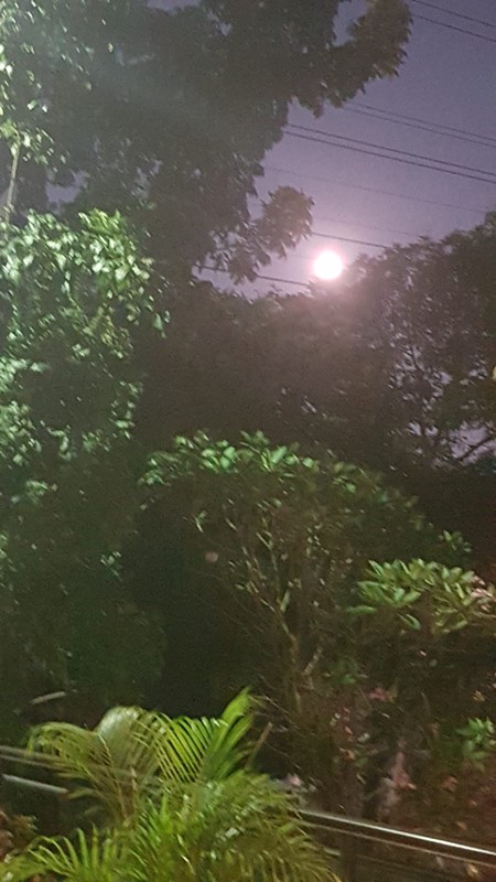 Rumah Luas 2 Lantai Dalam Komplek Asri dan Strategis di Cirendeu