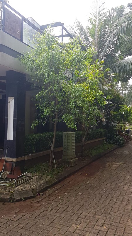 Rumah Luas 2 Lantai Dalam Komplek Asri dan Strategis di Cirendeu
