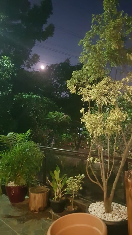 Rumah Luas 2 Lantai Dalam Komplek Asri dan Strategis di Cirendeu