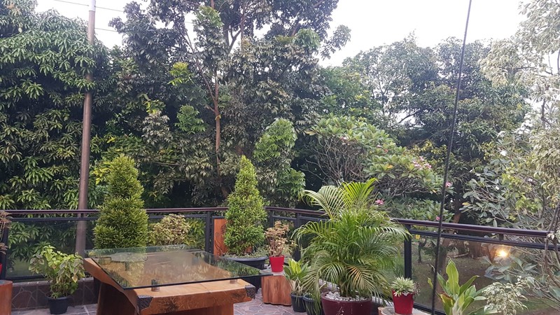 Rumah Luas 2 Lantai Dalam Komplek Asri dan Strategis di Cirendeu