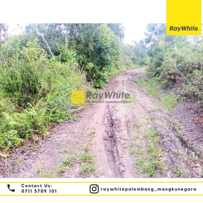 Dijual Tanah di Desa Soak Batok Kel. Bakung Kec. Indralaya Utara, Kab. Ogan Ilir