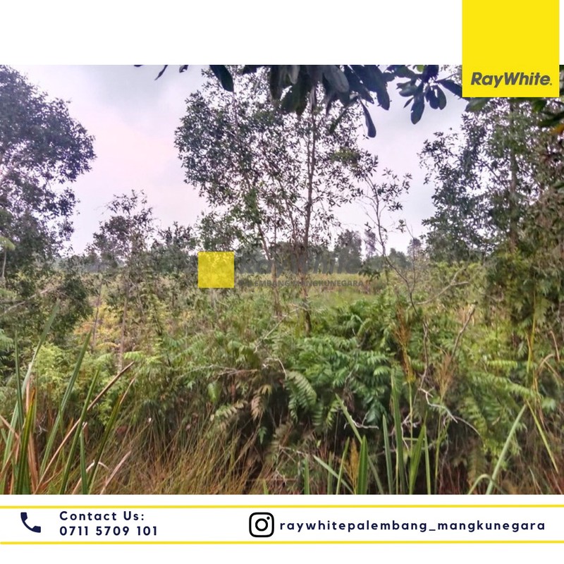 Dijual Tanah di Desa Soak Batok Kel. Bakung Kec. Indralaya Utara, Kab. Ogan Ilir