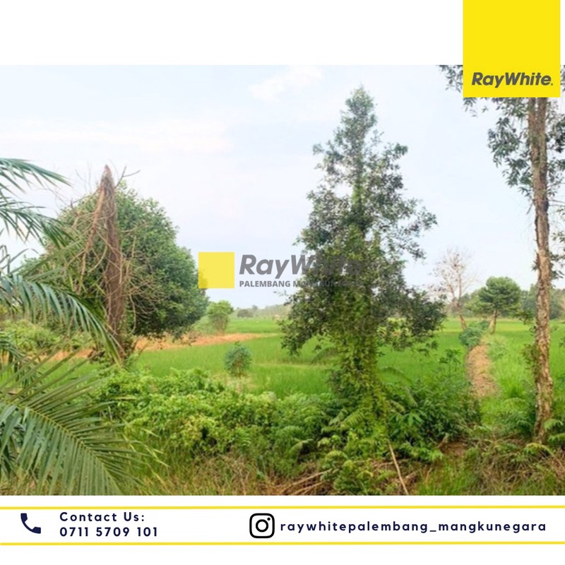 Dijual Tanah di Desa Soak Batok Kel. Bakung Kec. Indralaya Utara, Kab. Ogan Ilir