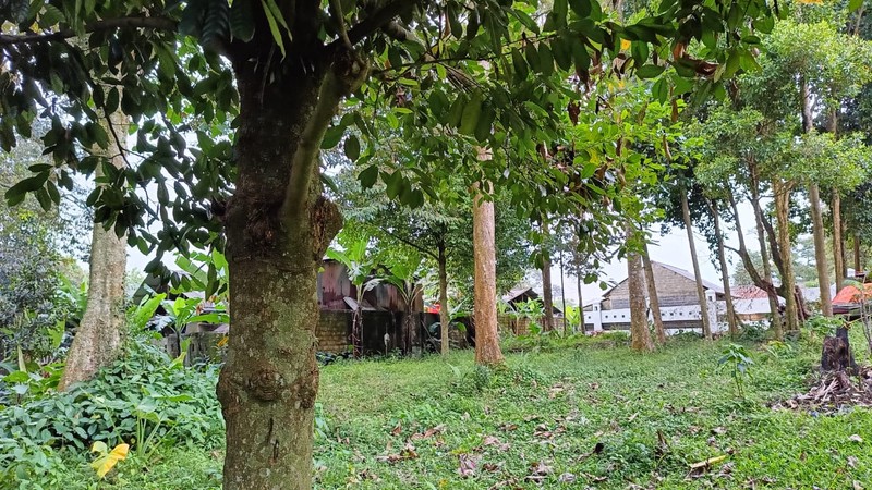 Villa Dekat Rancamaya Estate (Di dalam kebun buah & tanaman langka)