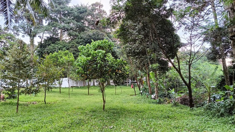 Villa Dekat Rancamaya Estate (Di dalam kebun buah & tanaman langka)