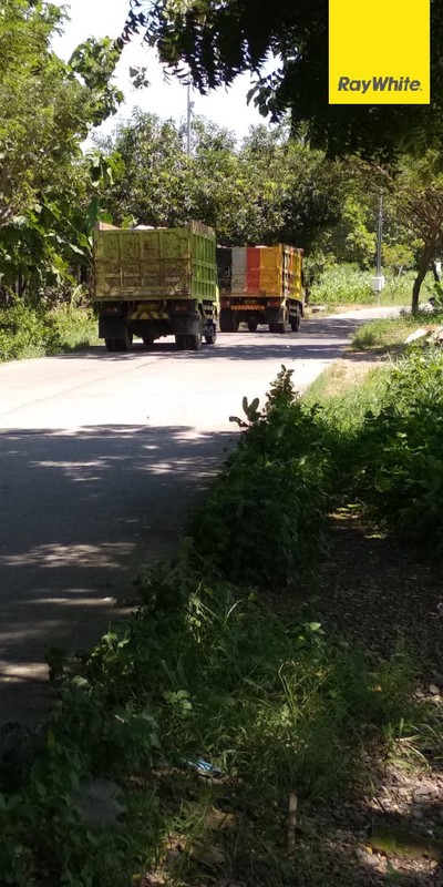 Dijual Tanah Murah di Jalan Raya Pucuk Mojokerto