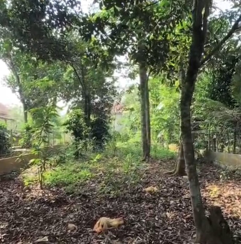 Dijual kavling dalam perumahan  di Harvest City Cibubur