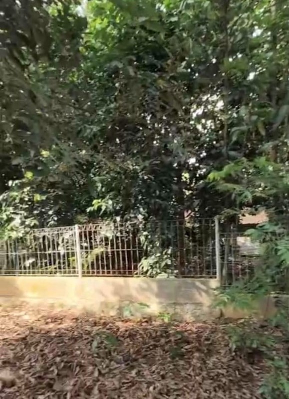 Dijual kavling dalam perumahan  di Harvest City Cibubur