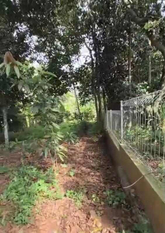 Dijual kavling dalam perumahan  di Harvest City Cibubur