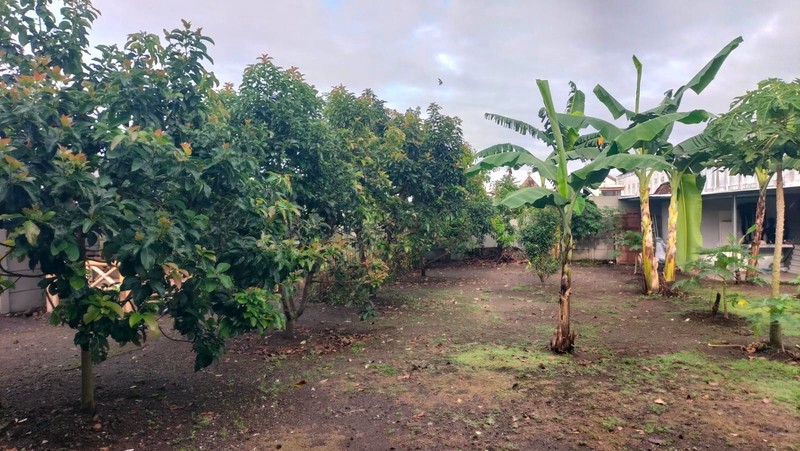 Tanah Luas Bonus Rumah Tinggal Modern Lokasi Strategis Dekat Kampus UII - Ngaglik Sleman 