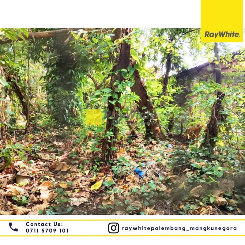 Dijual Cepat Rumah & Tanah di Jl segaran 9 Ilir Kota Palembang