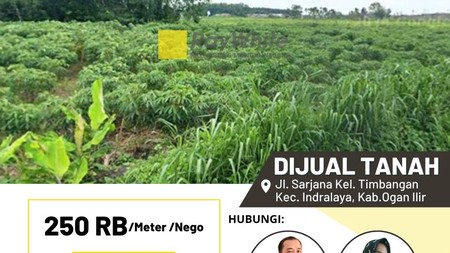 Dijual Cepat Tanah di Jl Sarjana Kab Indralaya