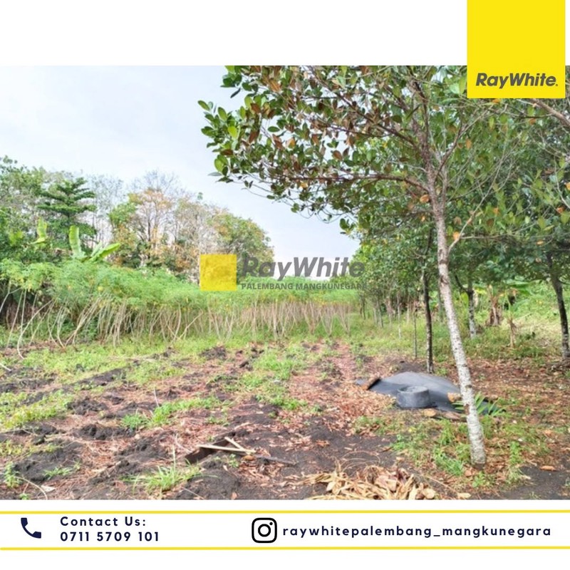 Dijual Cepat Tanah di Jl Sarjana Kab Indralaya