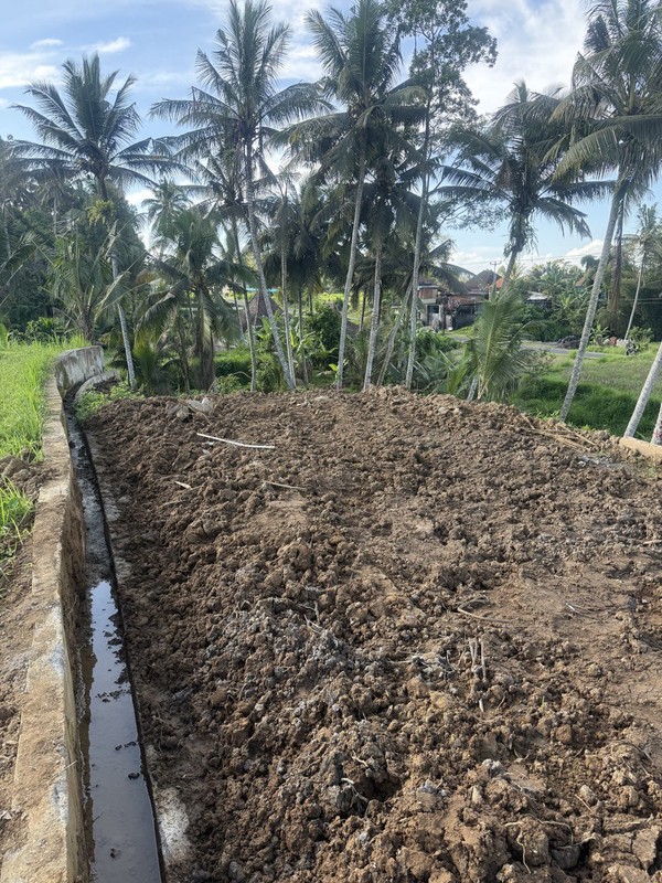 Prime Investment Land - 27 Are Leasehold Plot in Pejeng, Ubud - Secure Your Piece of Bali's Land