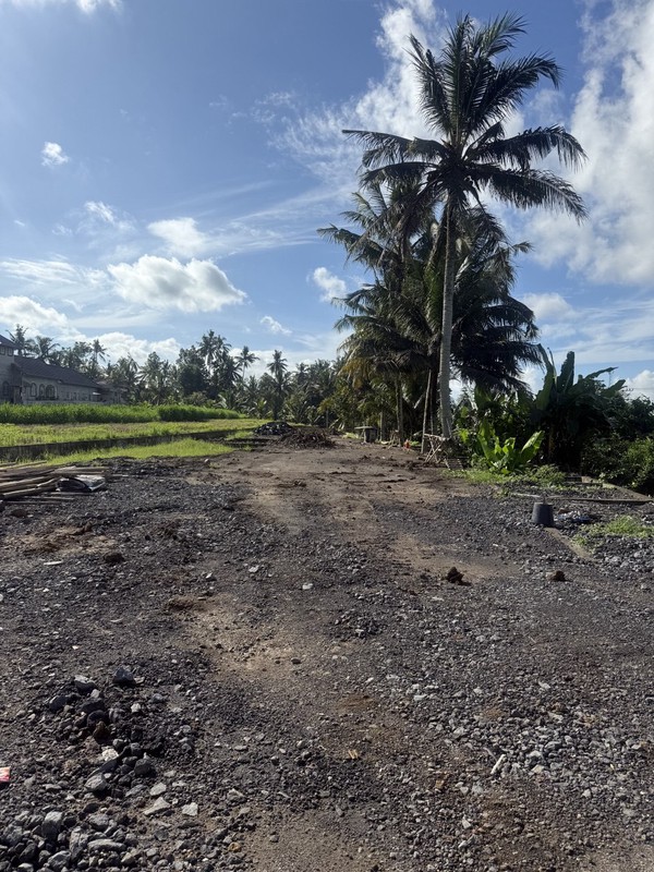 Prime Investment Land - 27 Are Leasehold Plot in Pejeng, Ubud - Secure Your Piece of Bali's Land