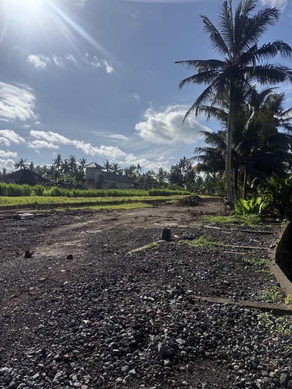Prime Investment Land - 27 Are Leasehold Plot in Pejeng, Ubud - Secure Your Piece of Bali's Land