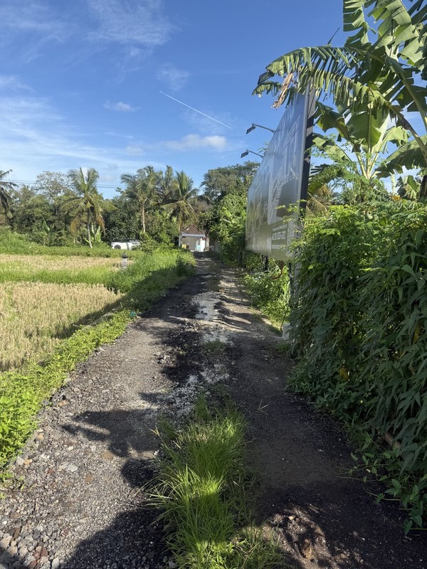 Prime Investment Land - 27 Are Leasehold Plot in Pejeng, Ubud - Secure Your Piece of Bali's Land