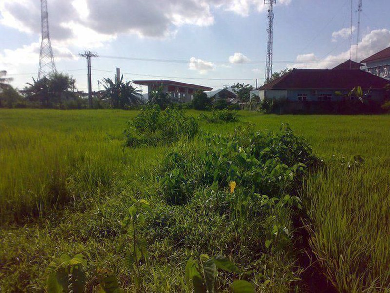 Tanah Strategis Diarea Premium Kawasan Industri Serang Banten 