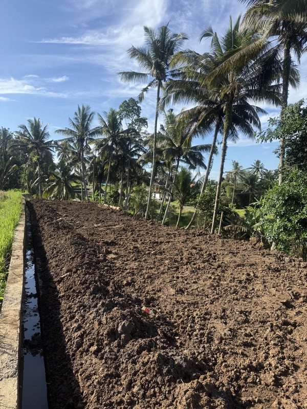 Prime Investment Land - 27 Are Leasehold Plot in Pejeng, Ubud - Secure Your Piece of Bali's Land