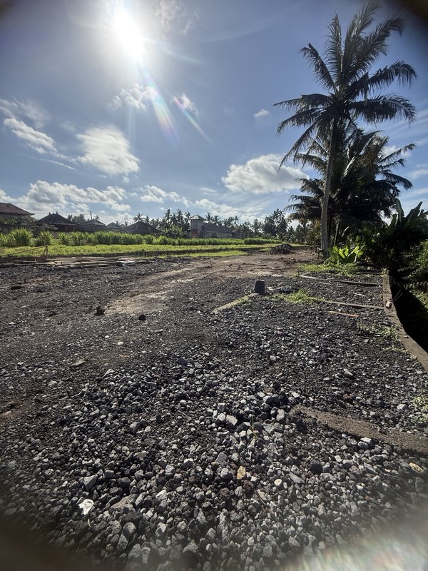 Prime Investment Land - 27 Are Leasehold Plot in Pejeng, Ubud - Secure Your Piece of Bali's Land