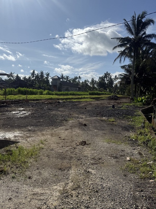 Prime Investment Land - 27 Are Leasehold Plot in Pejeng, Ubud - Secure Your Piece of Bali's Land