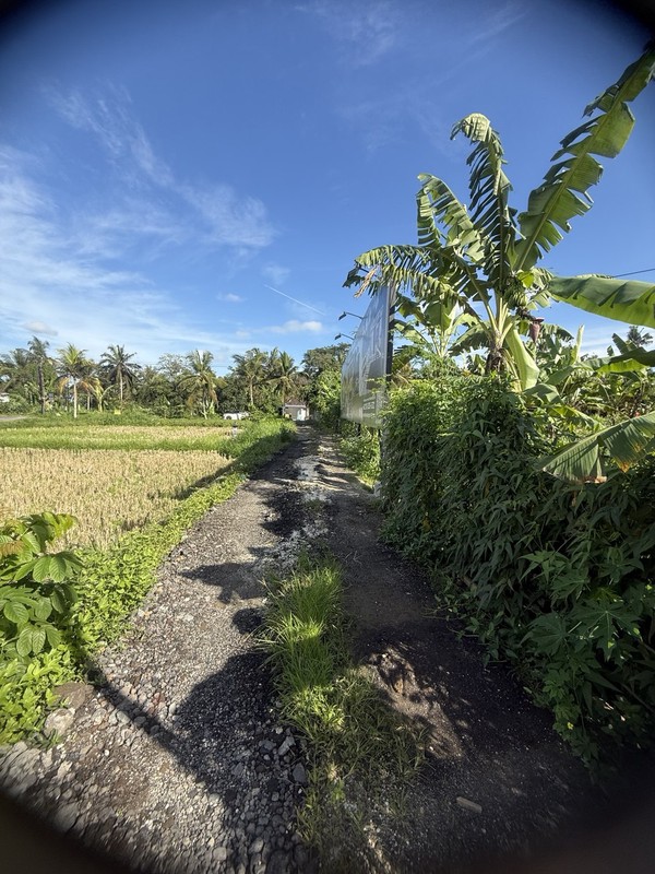 Prime Investment Land - 27 Are Leasehold Plot in Pejeng, Ubud - Secure Your Piece of Bali's Land