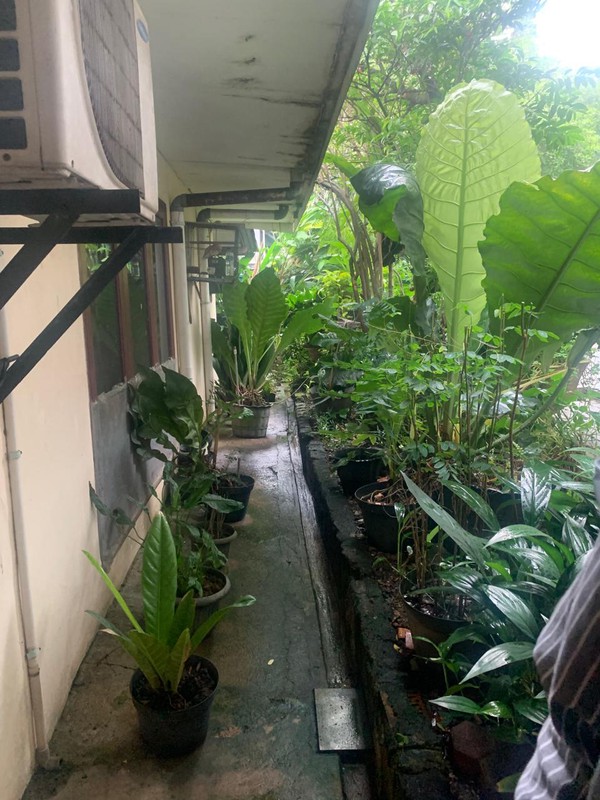 Rumah Bagus Di Jl H Nawi 2 Dalam Gandaria Jakarta Selatan