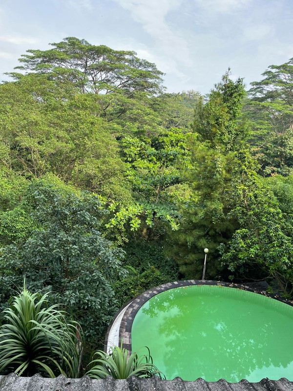 Rumah Jati Cantik dengan Swimming Pool di Mega Cinere