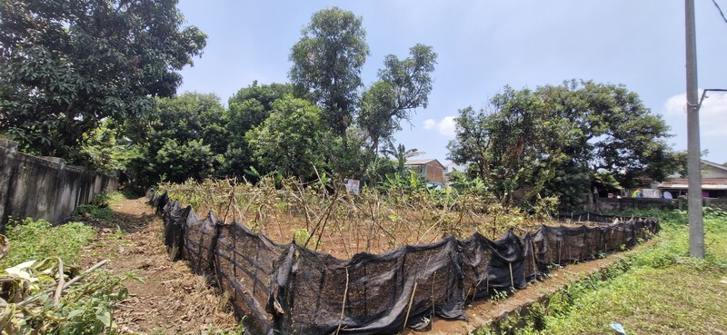 Tanah Siap Bangun di Cikeas Udik - Cikeas Cibubur Bogor 