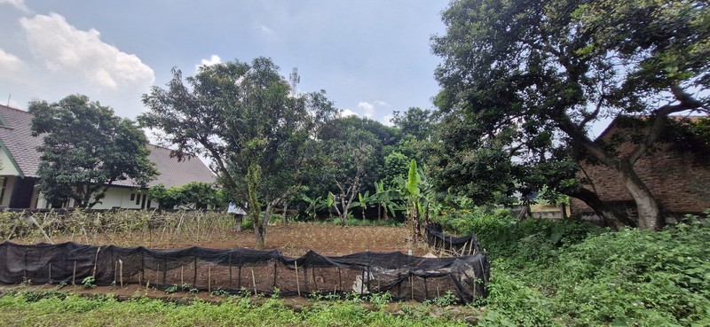 Tanah Siap Bangun di Cikeas Udik - Cikeas Cibubur Bogor 