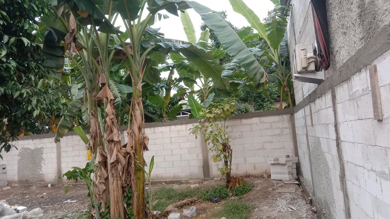 Termurah. Kavling di Jombang Selatan Lengkong Gudang Timur, cocok buat dibangun kos kosan.. 