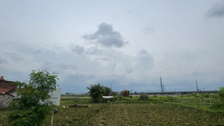 Tanah Cocok Untuk Sawah atau Perkebunan di Mengger