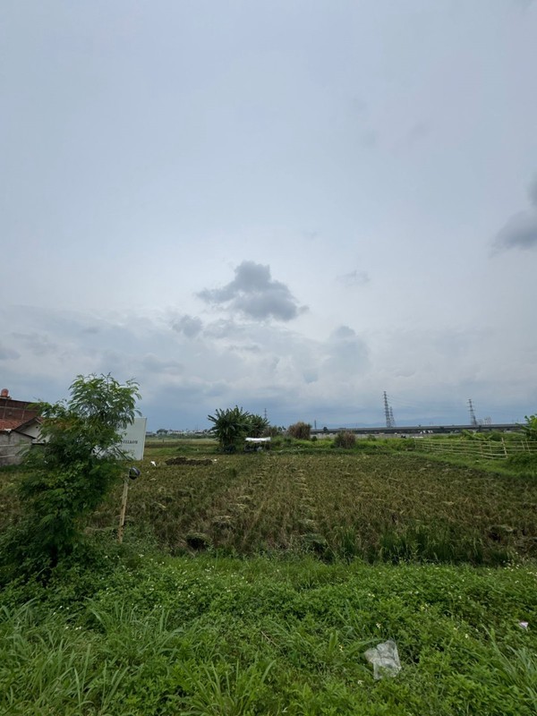Tanah Cocok Untuk Sawah atau Perkebunan di Mengger