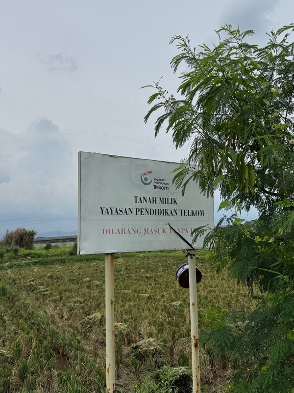 Tanah Cocok Untuk Sawah atau Perkebunan di Mengger