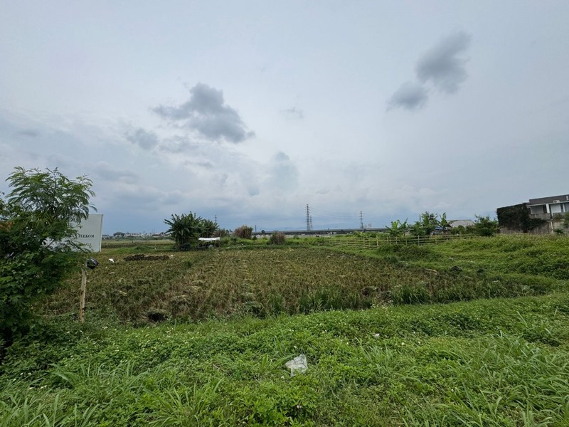 Tanah Cocok Untuk Sawah atau Perkebunan di Mengger