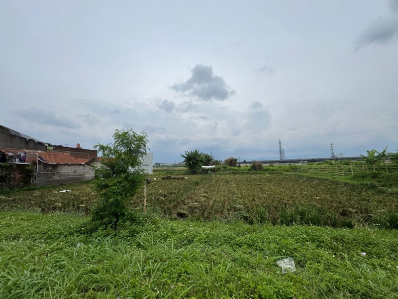 Tanah Cocok Untuk Sawah atau Perkebunan di Mengger