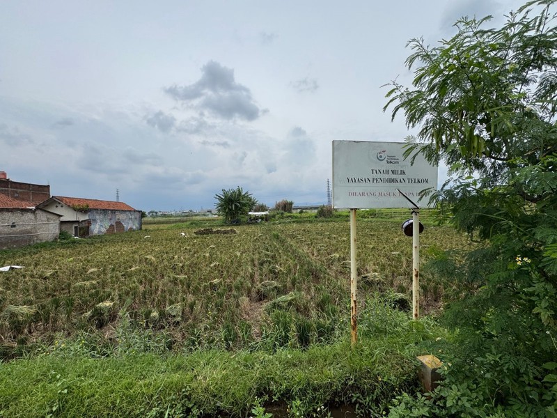 Tanah Cocok Untuk Sawah atau Perkebunan di Mengger