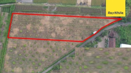 Dijual Aset Lelang Tanah Dijalan Gus Nur Dlangu Mojokerto