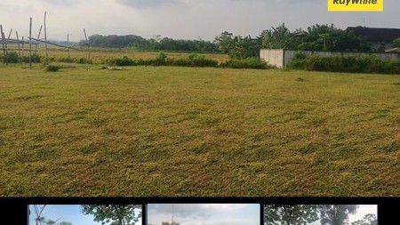 Dijual Aset Lelang Tanah Di Dusun Lengkong Nganjuk