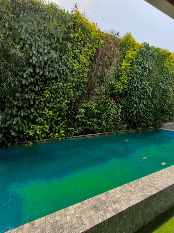 Rumah Bagus Di Pondok Hijau Pondok Indah Jakarta Selatan