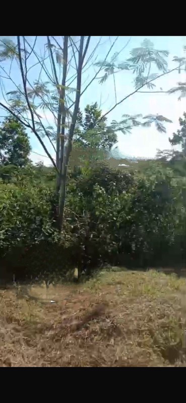 Kavling Siap Bangun Di Jl Letnan Sayuti (Dekat Setu), Wirajaya Jasinga Bogor