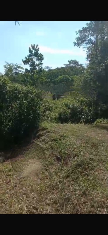 Kavling Siap Bangun Di Jl Letnan Sayuti (Dekat Setu), Wirajaya Jasinga Bogor