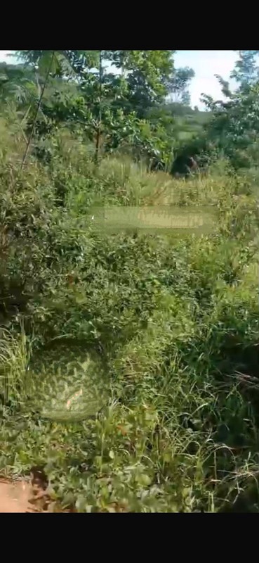 Kavling Siap Bangun Di Jl Letnan Sayuti (Dekat Setu), Wirajaya Jasinga Bogor