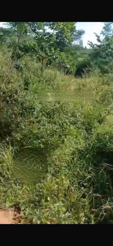 Kavling Siap Bangun Di Jl Letnan Sayuti (Dekat Setu), Wirajaya Jasinga Bogor