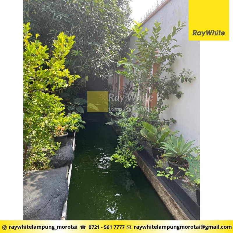 Dijual Rumah Way Halim Strategis, Nyaman dan Luas tengah Kota Bandar Lampung