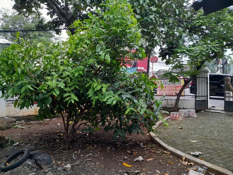 Rumah Hitung Tanah Di Jl Pinang Kuningan Pondok Pinang Jakarta Selatan