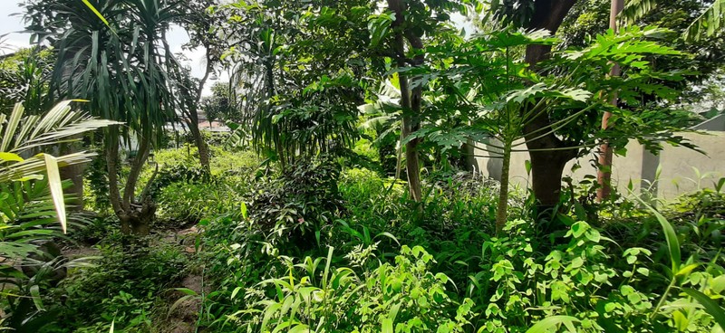 Rumah Luas Dilokasi Sangat Strategis Ulujami Raya, Near Gate tol