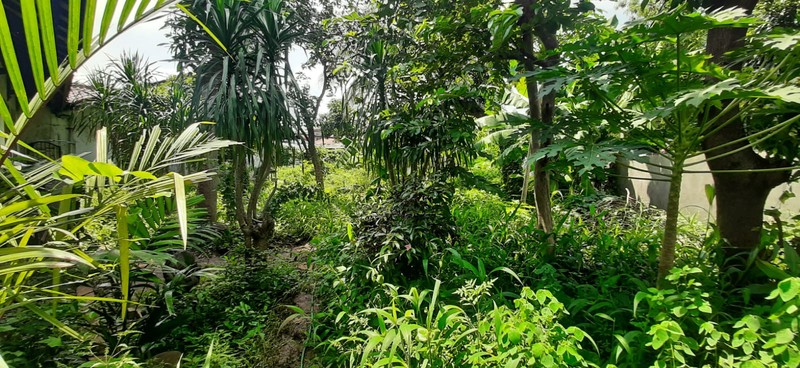 Rumah Luas Dilokasi Sangat Strategis Ulujami Raya, Near Gate tol