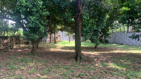 Kavling Siap Bangun Di Jl Deplu / Deplu Tengah Pesanggrahan Jakarta Selatan